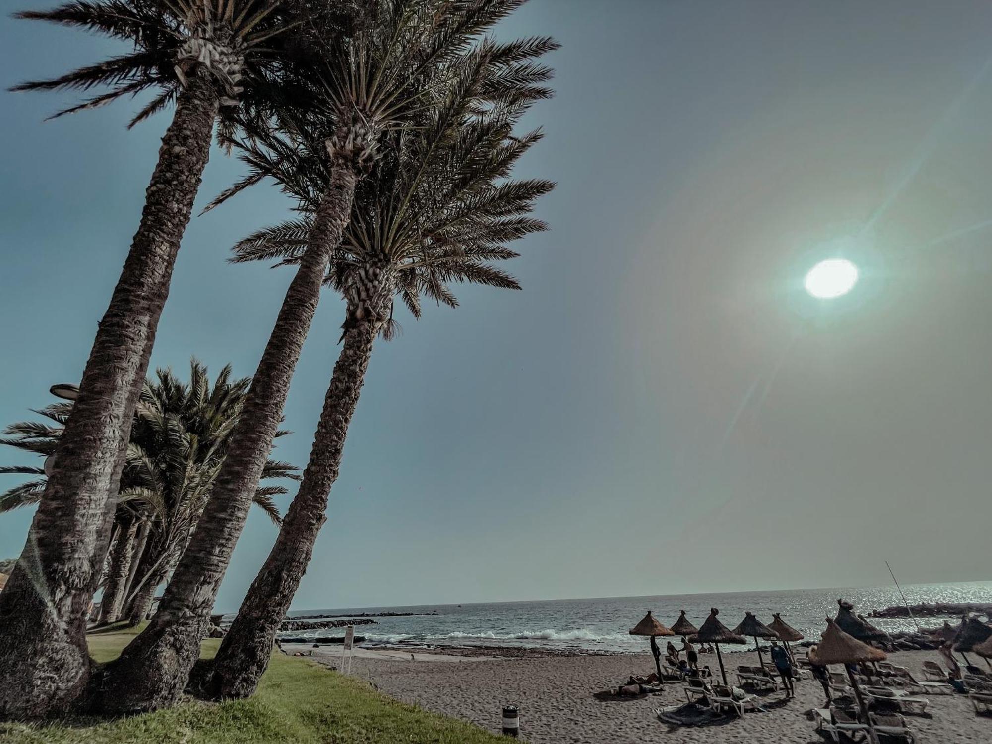 Viktoria Sur Lägenhet Playa de las Americas  Exteriör bild