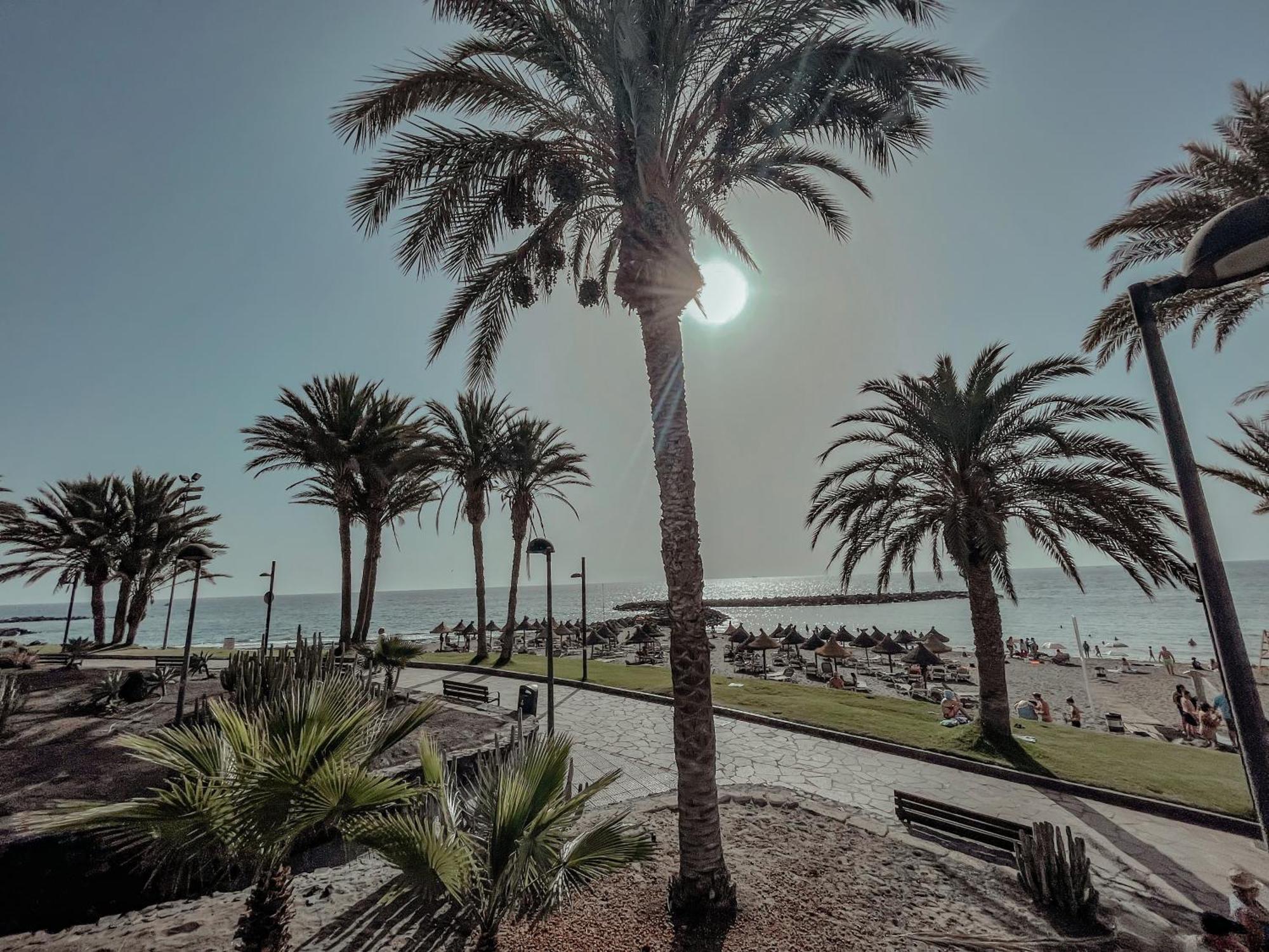 Viktoria Sur Lägenhet Playa de las Americas  Exteriör bild
